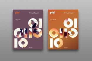 上海数码电器品牌形象升级 从画册设计到数字广告的整合策略